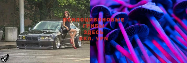 spice Бородино