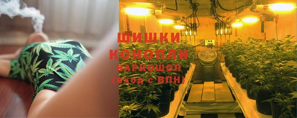 spice Бородино