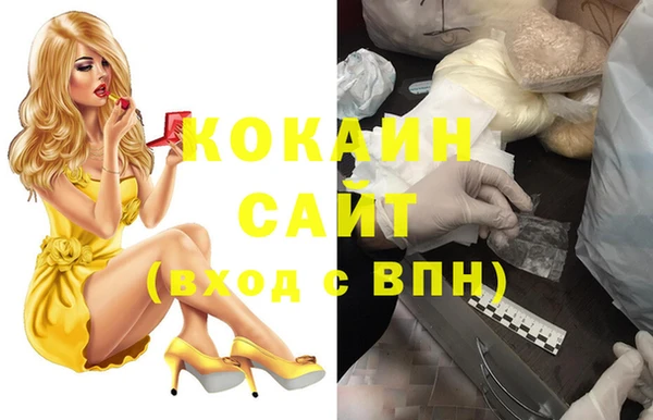 spice Бородино