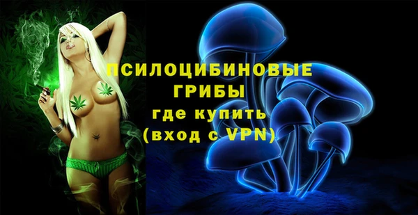 spice Бородино