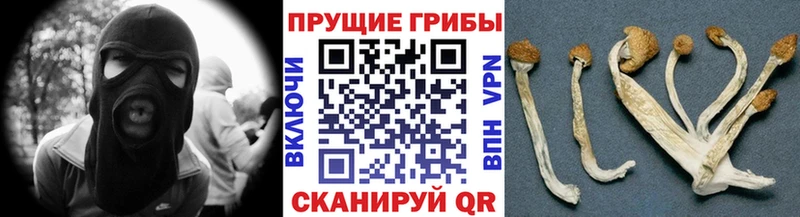 Псилоцибиновые грибы ЛСД  Ставрополь 
